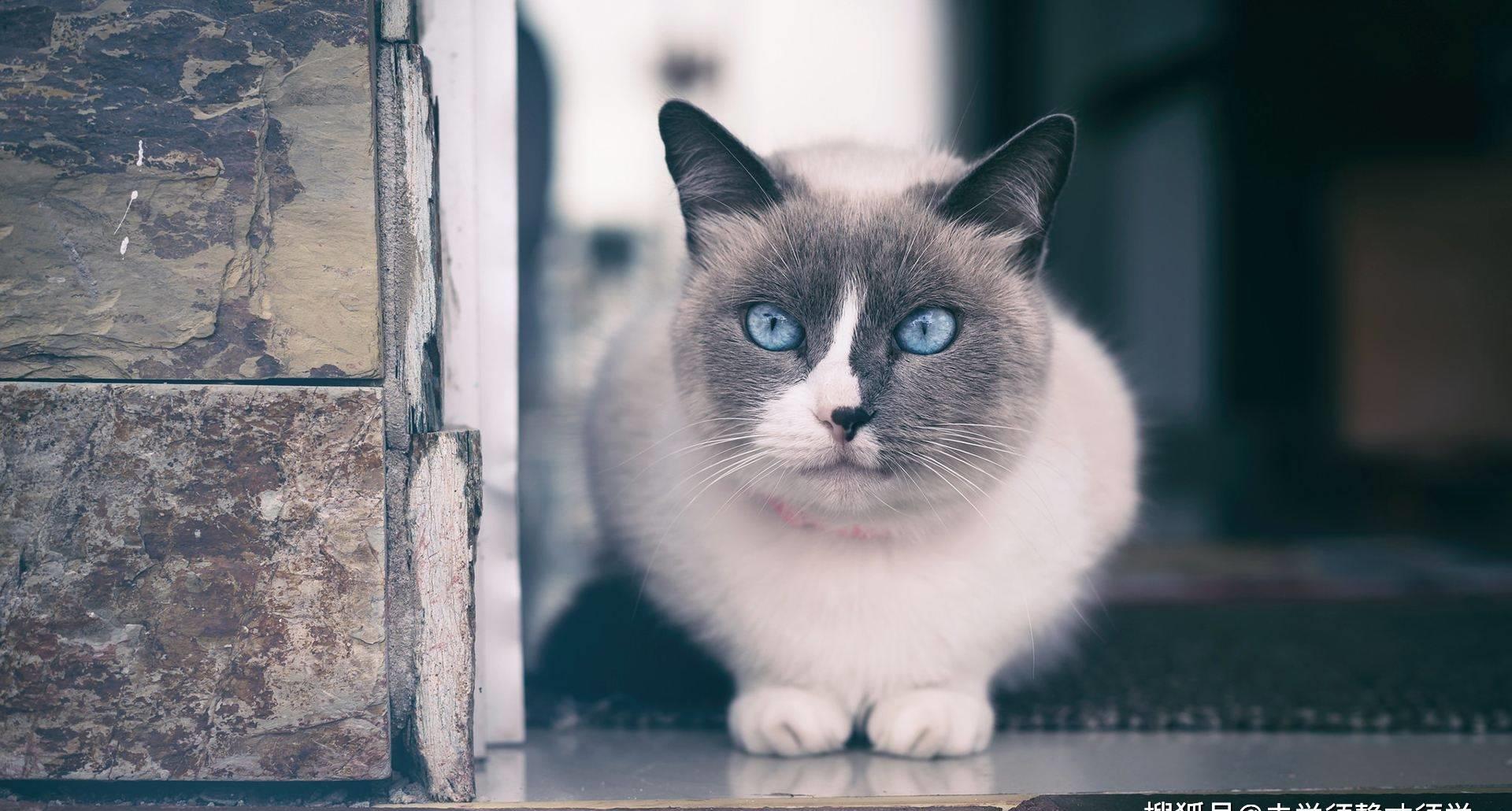 十足惊呆!老公出人意料的举动!