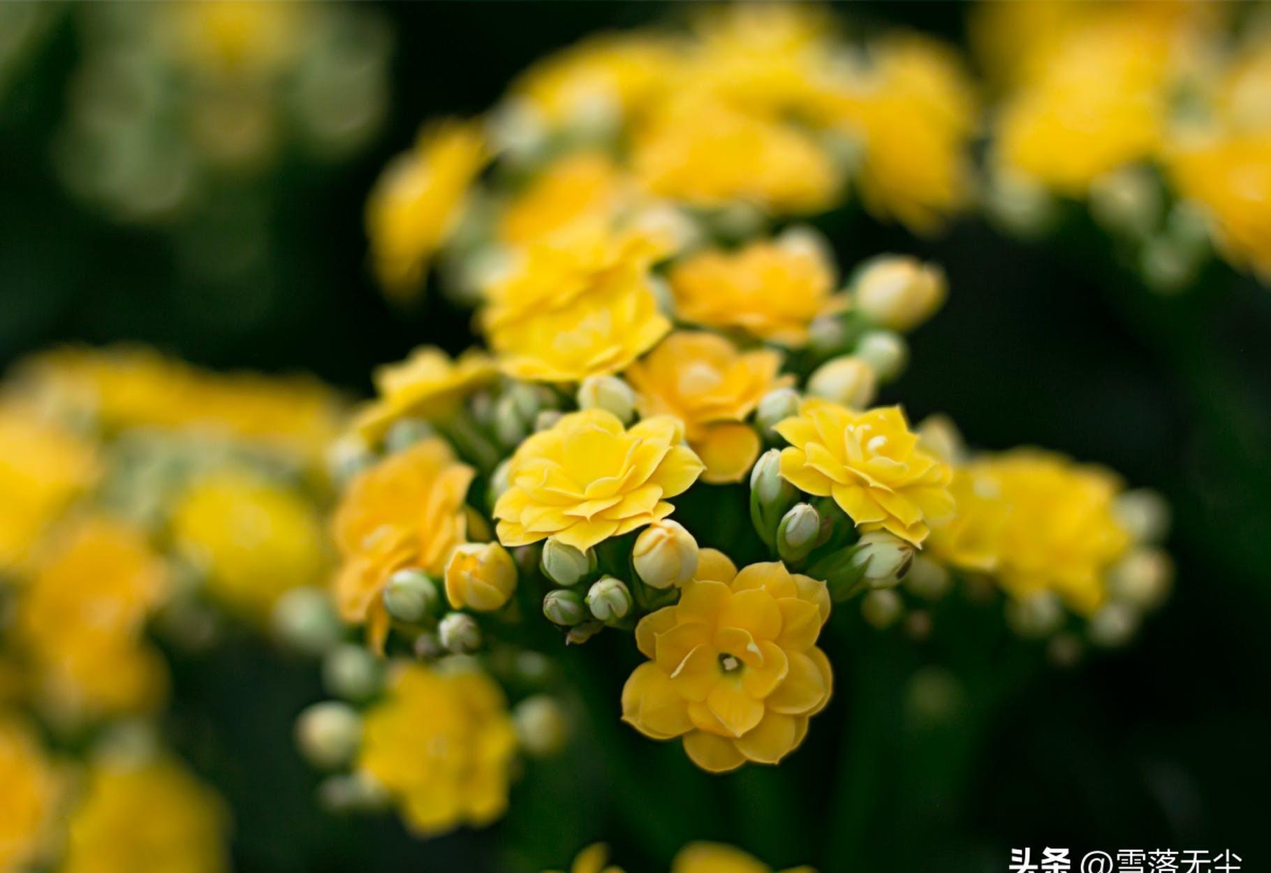 对待脾气暴躁的人怎么驯服,和脾气暴躁老公相处的驭夫术