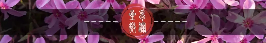 护士不想上夜班的理由,不想上夜班的护士