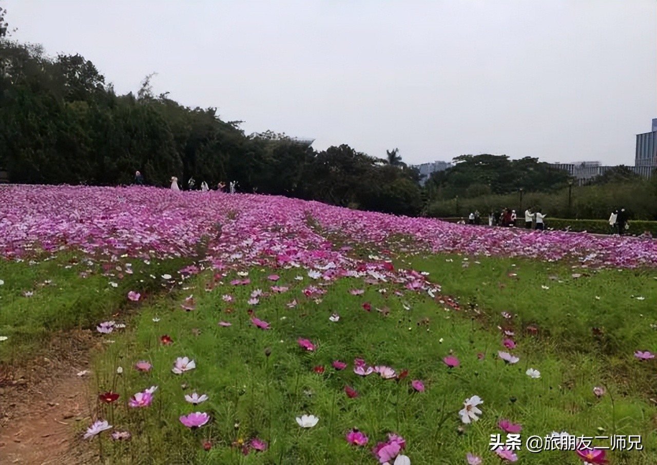 广州去西藏沿途景点攻略,东莞出发5天自由行攻略