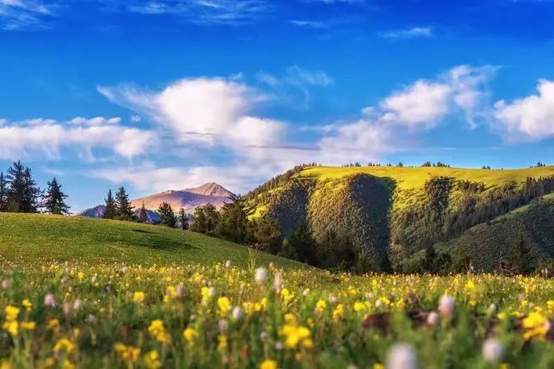 最美西藏十大景点,藏北旅游景点推荐