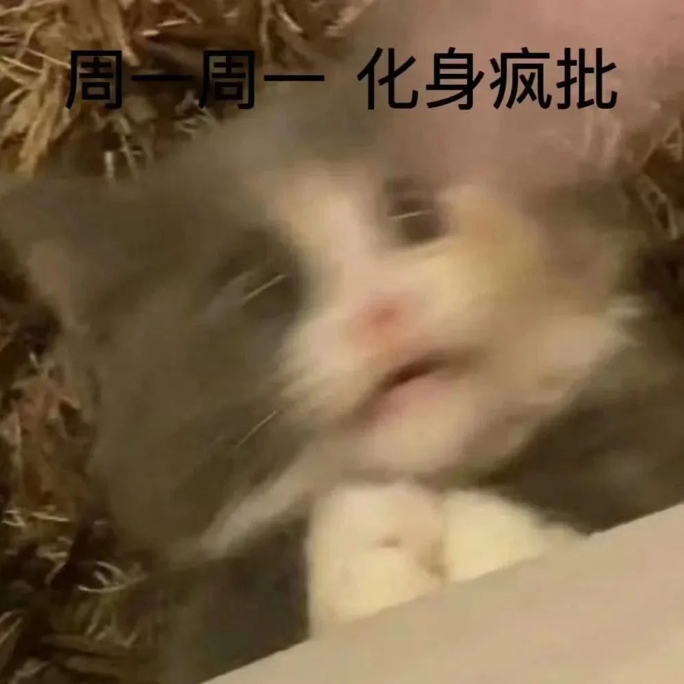 有多少人借着酒劲说出真心话,有多少人借着酒意