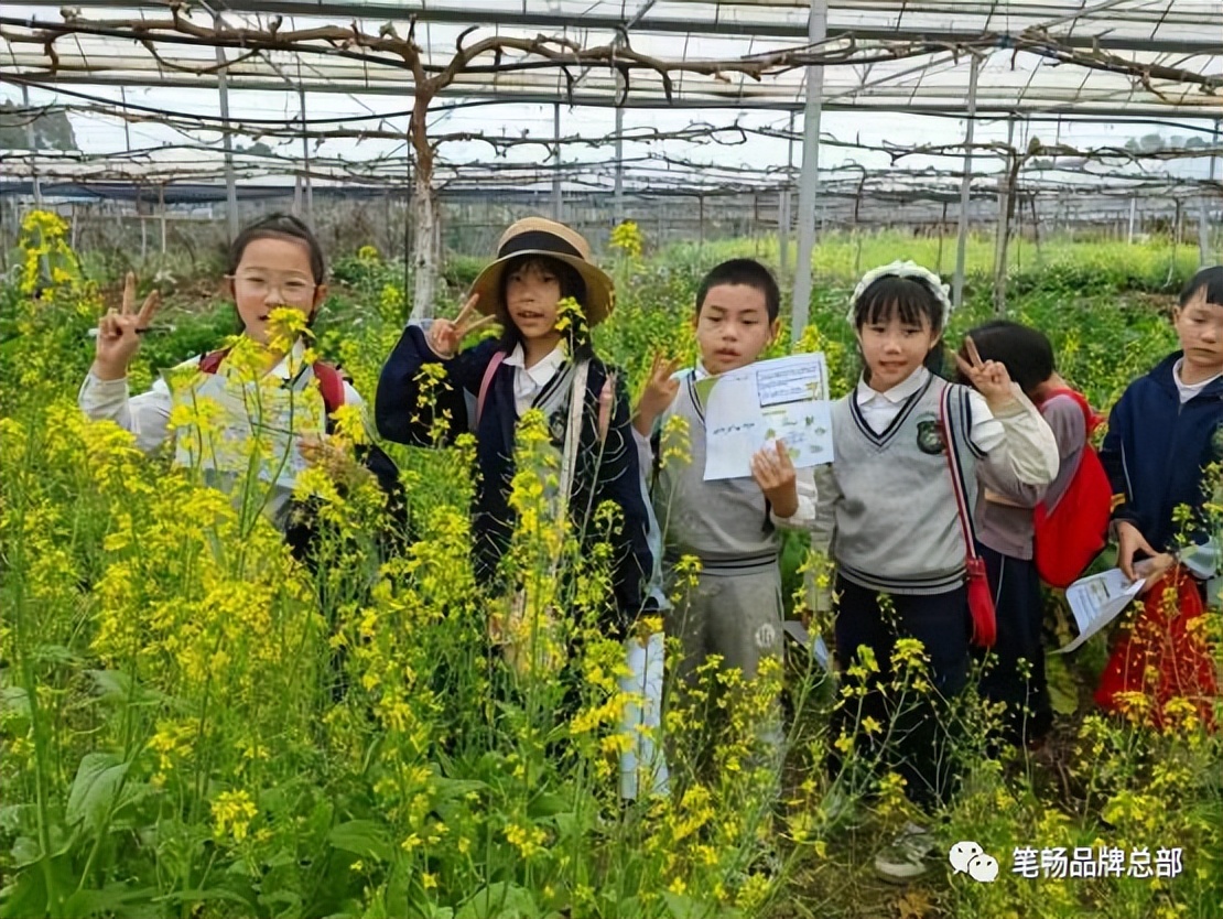 2023笔畅作文春季户外活动评选——广西桂林分校研学拔萃行