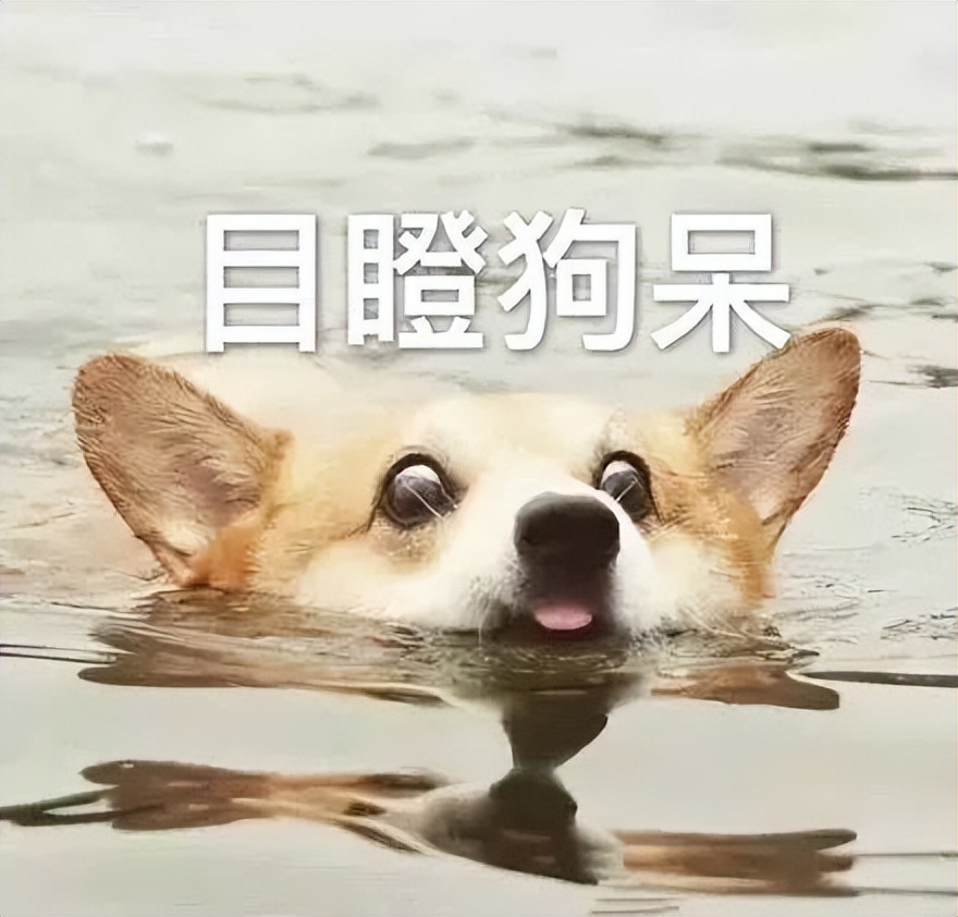 酷派回归国产市场,酷派海外市场