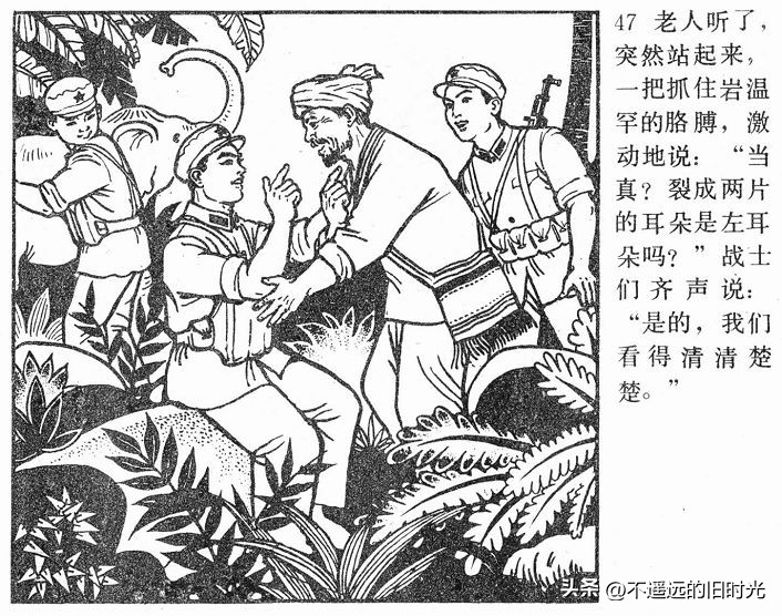 大象搬家,大象搬家河北