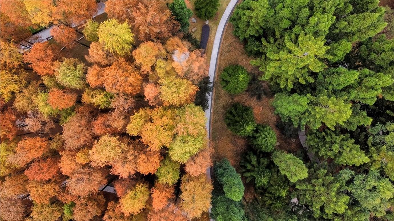 福建省福州市几个区,中国34个省级行政区域教学视频