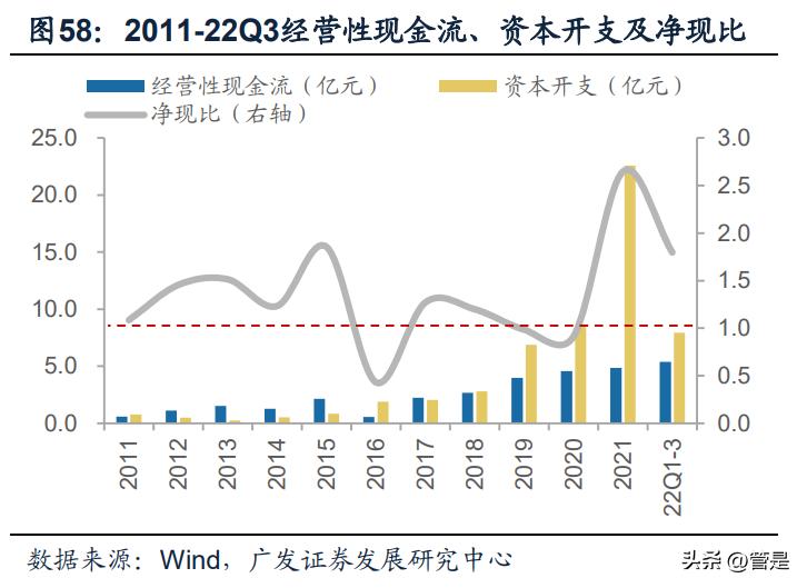 三棵树发展理念,三棵树战略规划
