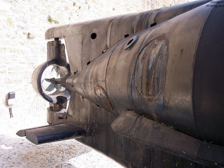 德国海军王牌潜艇,海豹的演化史