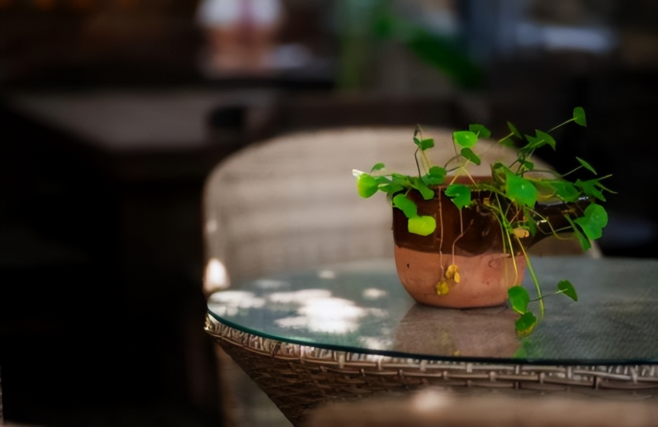 一个人的名字基本决定了他的命运,一个人的名字真能决定人的一生吗