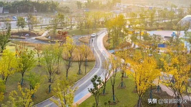 乘着大运会这缕“东风”，应该没有谁比东安湖还快