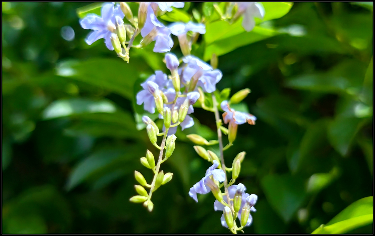 古人劝学诗句大全,古人的劝学诗有哪些