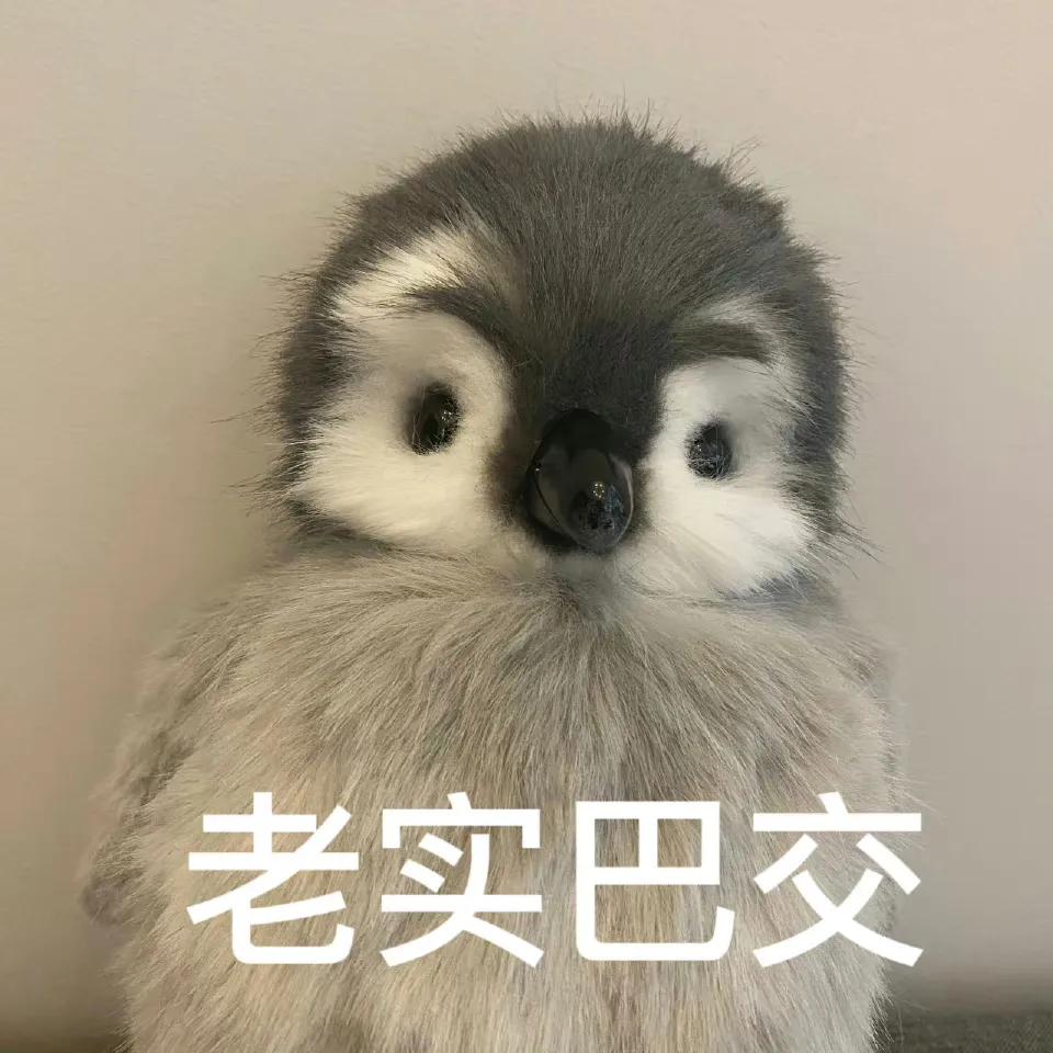 女生朋友圈高级背景图唯美气质,唯美背景图片高级感