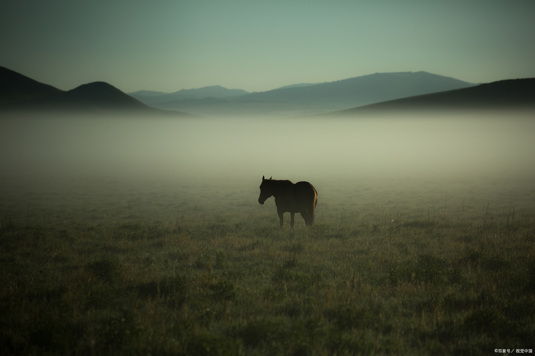 分享炒股技术指标,真正有用的炒股技术