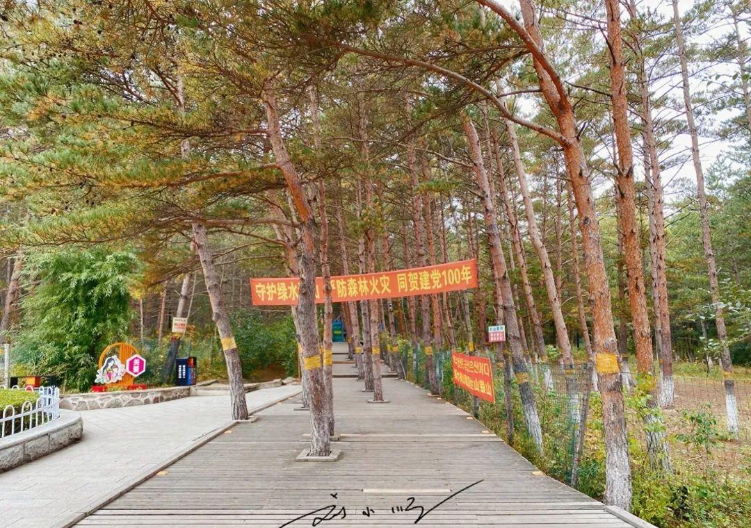 延吉的免费小众景点,游览延吉视频