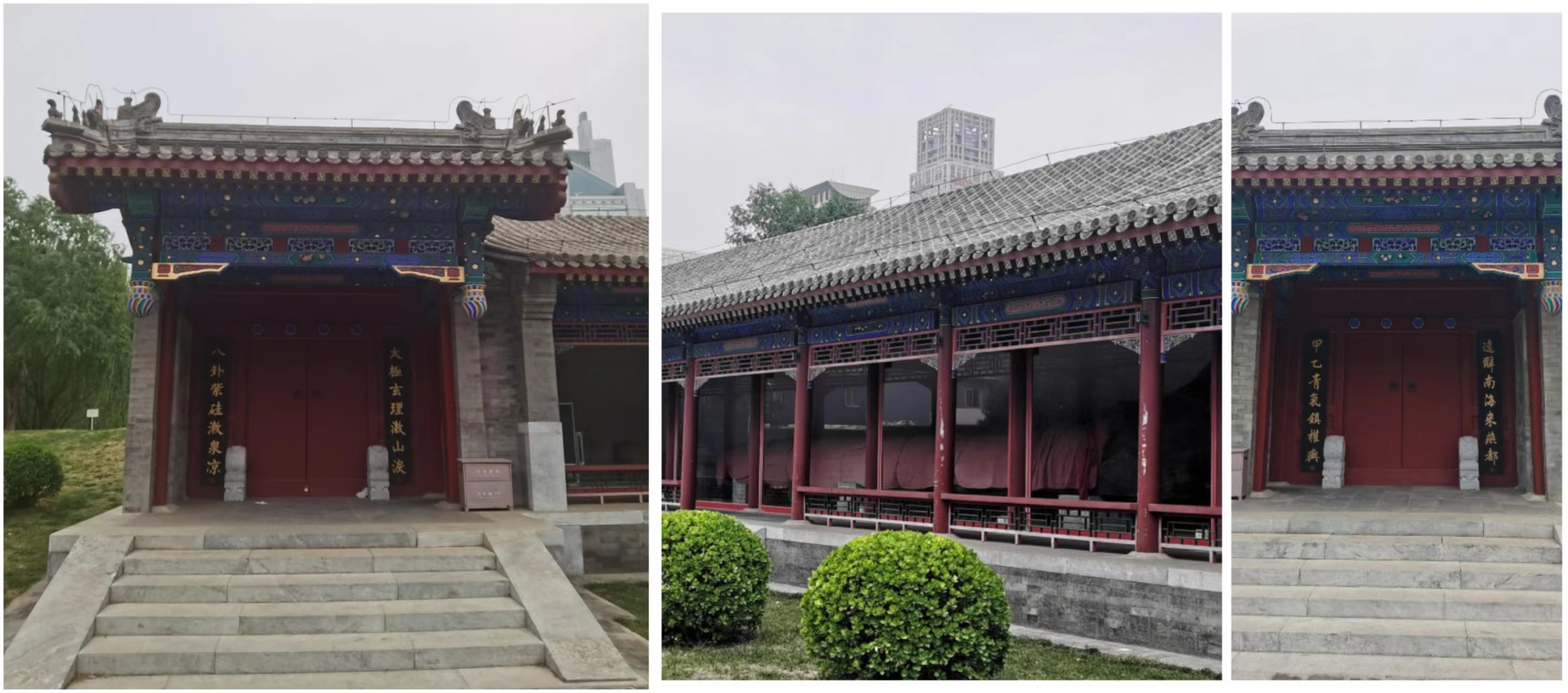 北京庆丰公园里的“神木”