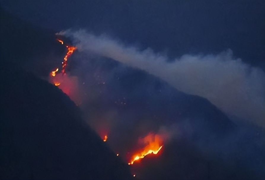 从央视名嘴到滚出主持界,央视名嘴董倩如今在干什么事