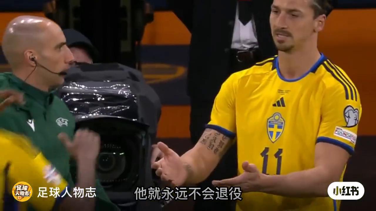 足球人物志国足,足球人物志布冯