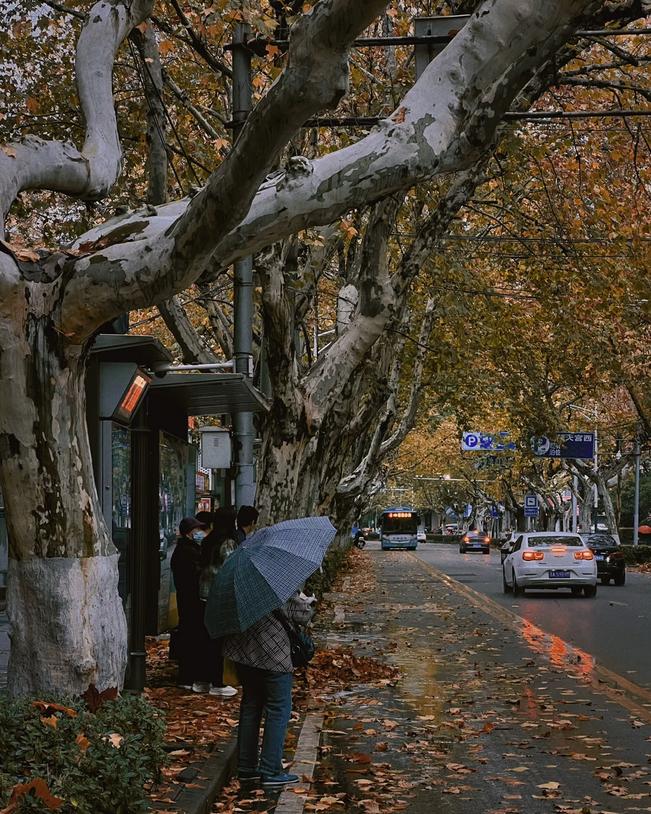 去南京旅游的感受,一个人去南京旅游的真实感受