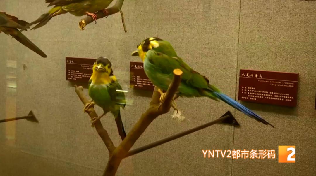 五一博物馆旅游攻略,奇妙之旅五一去哪儿