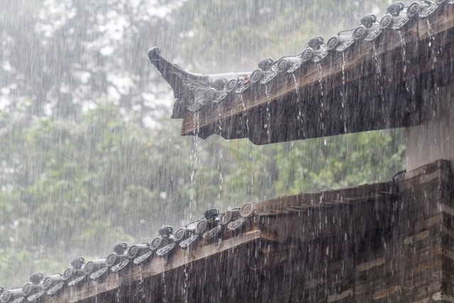 下雨天了怎么办下一句怎么接,下雨天了怎么办完整版