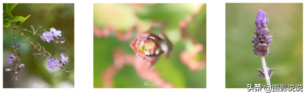 nisi近摄镜评测定焦,nisi测评