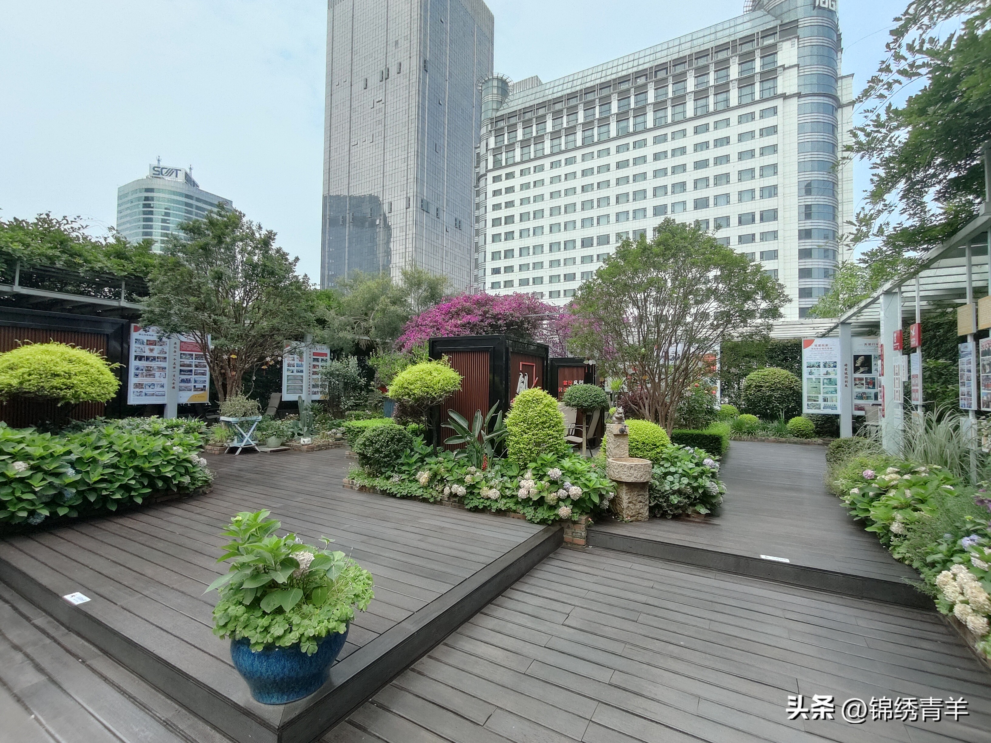 社企共种楼顶花园上班累了可以打场球