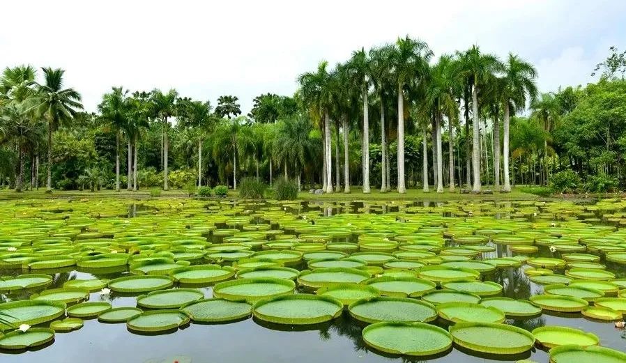 东南亚风情版纳攻略,西双版纳东南亚游