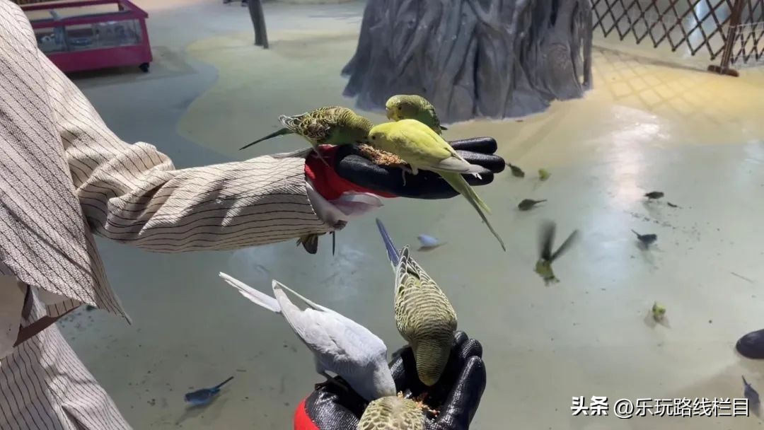 假面潮玩,假面潮玩节