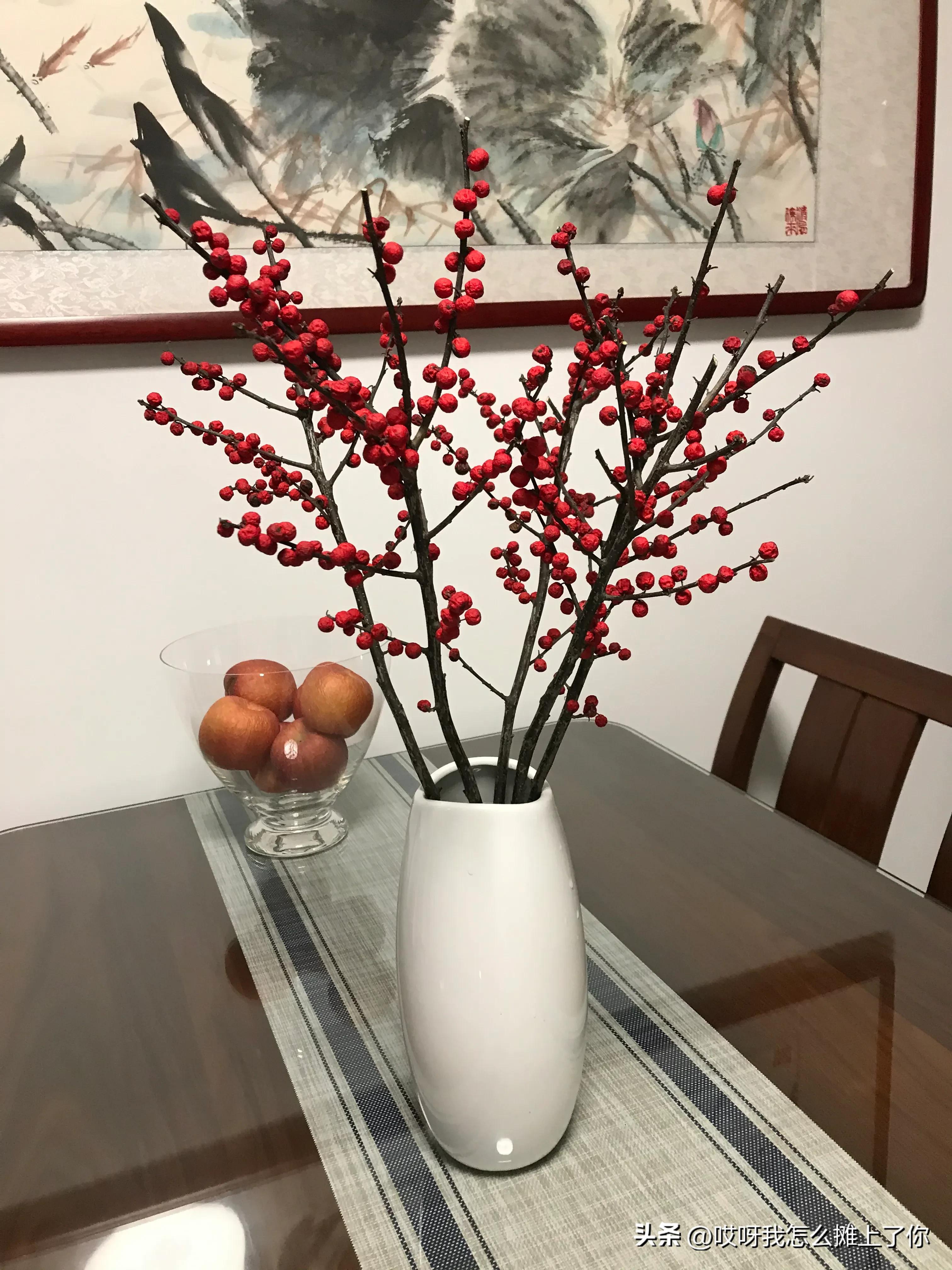 北美冬青真的是太美了,北美冬青喜阴喜阳