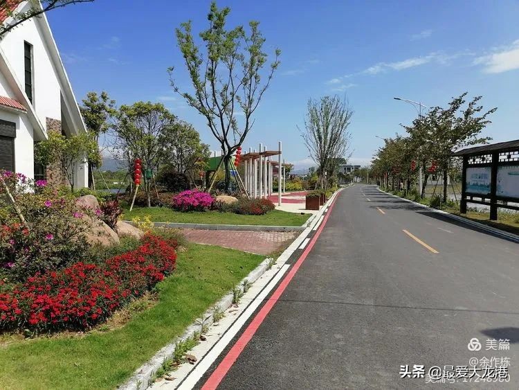 龙港市水心夜景,龙港市水心岛天气