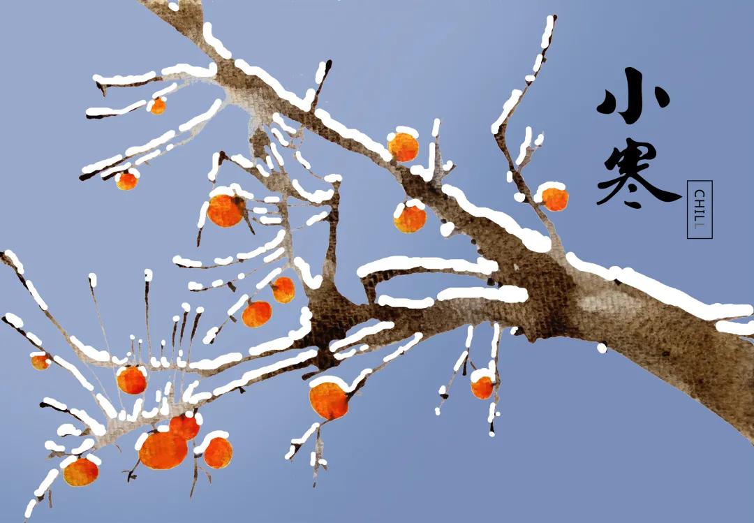 小寒至与紫酒相伴静待春归