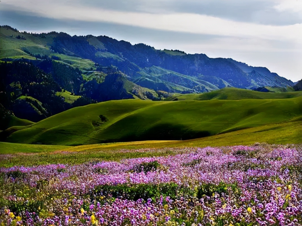 这条惊艳奇绝的公路,行走在天山脊梁上的最美景观公路