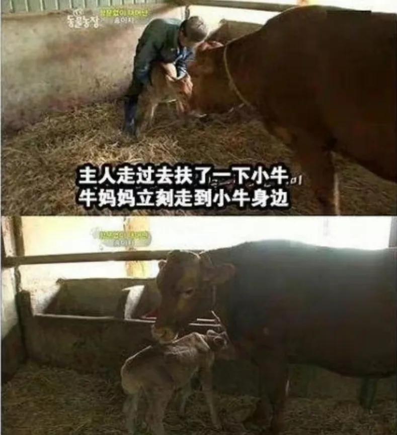 出生时没有肛门，有人却说要养他一辈子