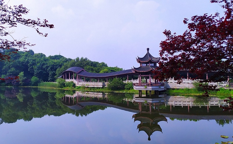 中国最美的十座山你去过了吗,中国最美的十大名山你爬过几座