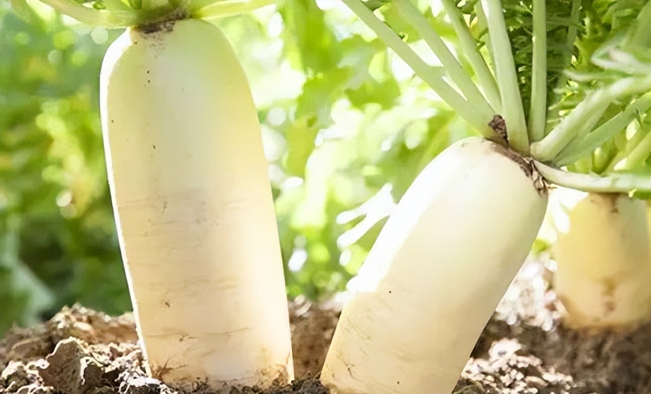 肠胃不好吃什么水果,胃不好的吃什么水果不容易伤胃