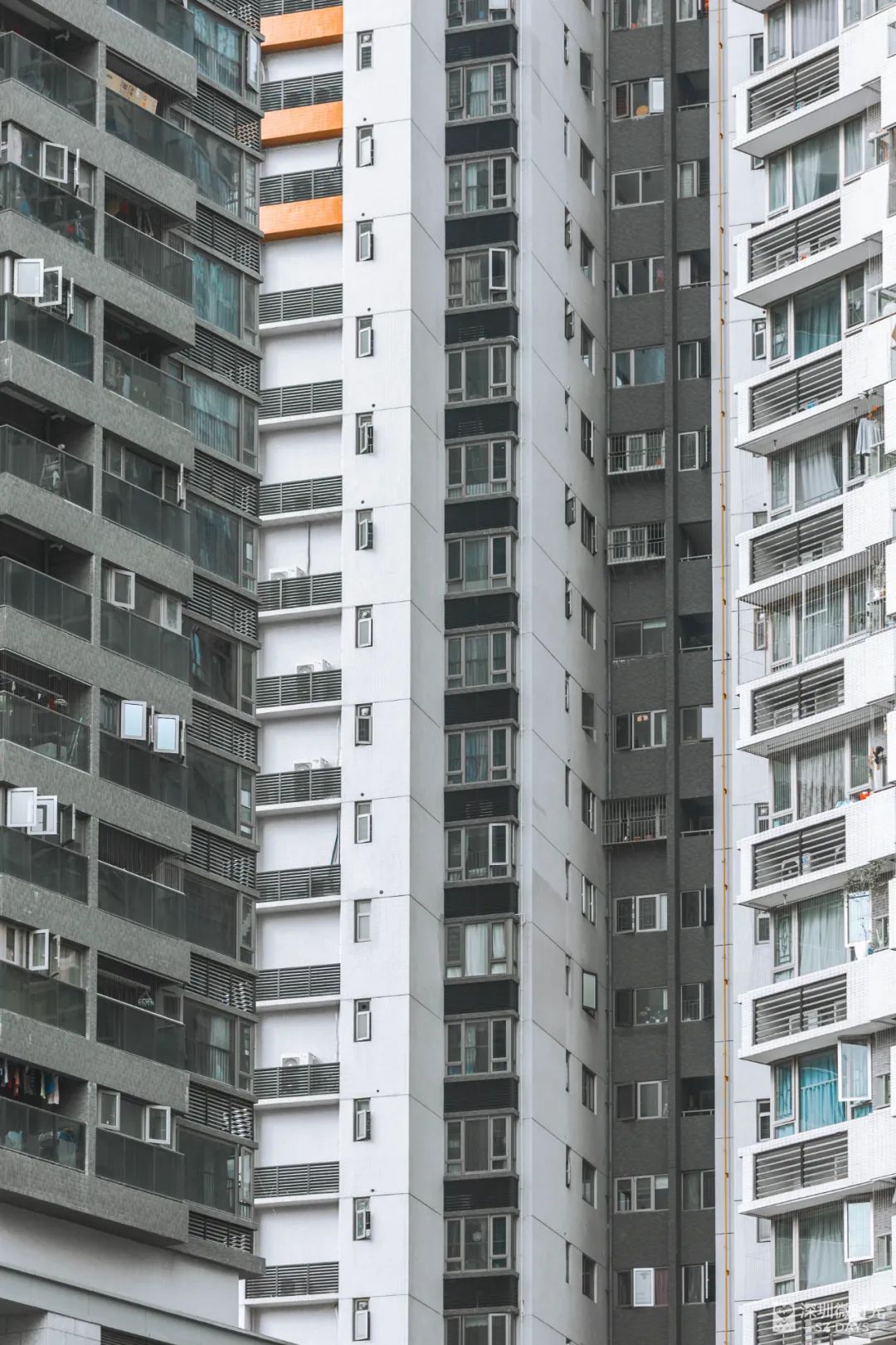 深二代在深圳工作,深二代在深圳生活压力大吗