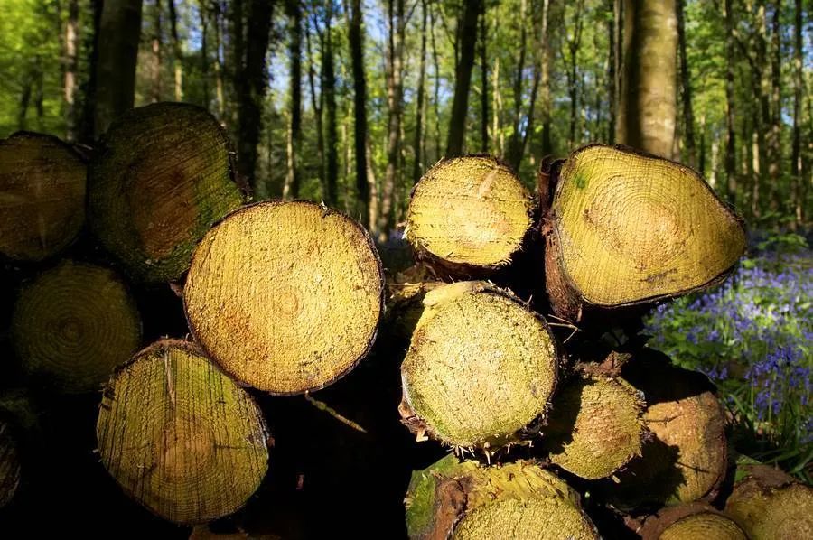 徐州安氏亚森板材,安氏亚森火烧石纹