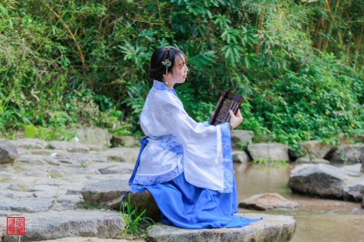 各领风骚全诗,各领风骚是哪首诗