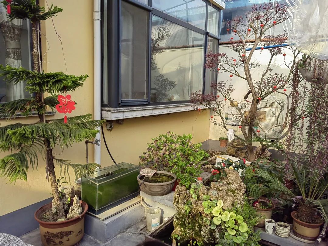 【激扬家国情奋斗新征程】淄博市最美家庭展播——绿色家庭篇