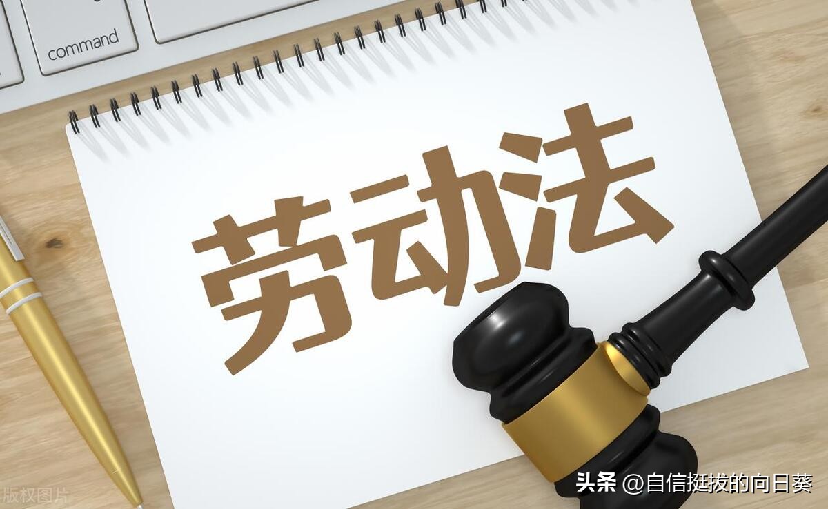 劳动法如何约定员工培训,劳动法培训费用的规定