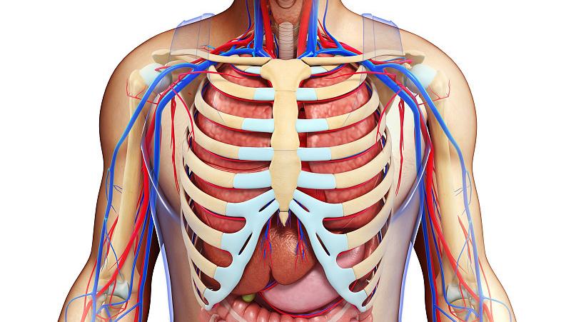 典传筋骨开发,典传筋骨开发训练视频