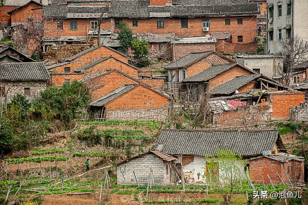 湖北大山发现30万枚恐龙蛋！村民竟拿去垒猪圈，这也太魔幻了吧