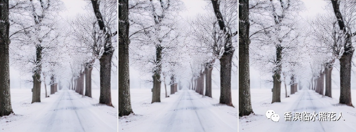 思维导图习作一到六年级,思维导图写作文三年级300字