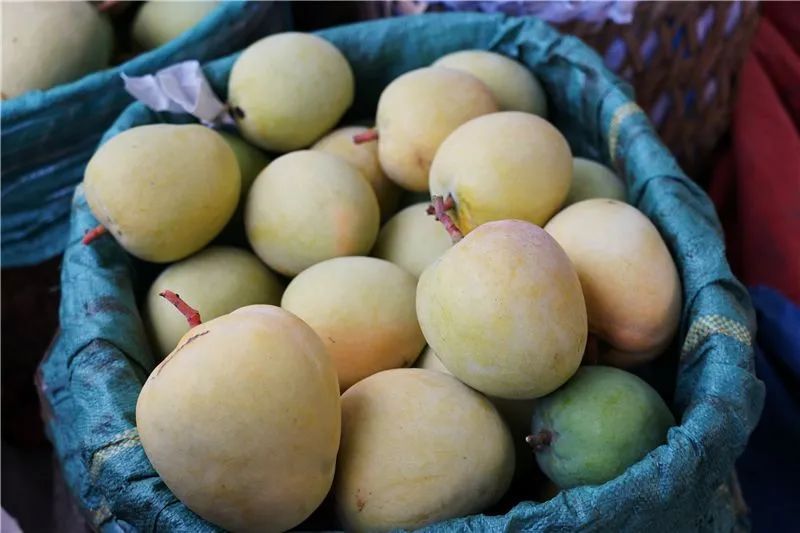 浜戝崡鎬掓睙鍗佸ぇ蹇呭悆缇庨,浜戦鍝佸皾鑸屽皷涓婄殑绾㈡渤