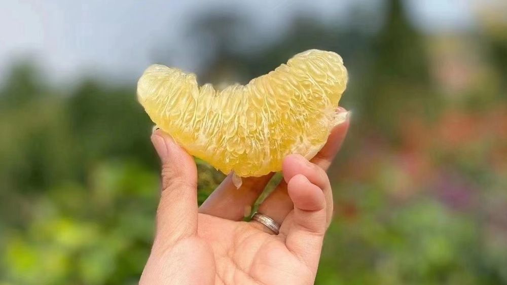 从事水果店前景怎么样,水果店发展前景如何