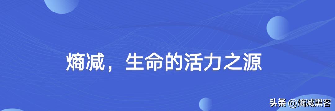 熵增原理对个人成长启发,熵减的人生哲理