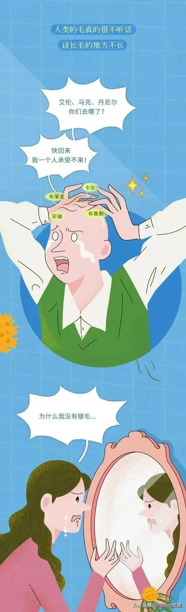 肛门周围的毛毛到底有什么用处？漫画科普