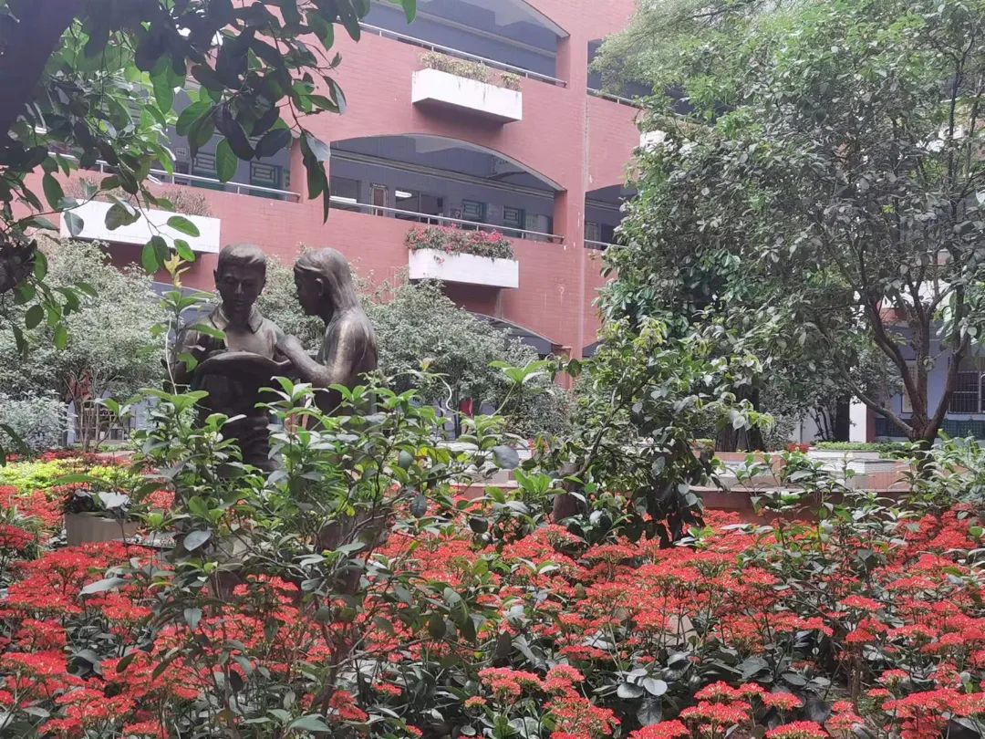 选择石碣四海学校！报读一年级和七年级学生6月4日开始网上填报志愿！