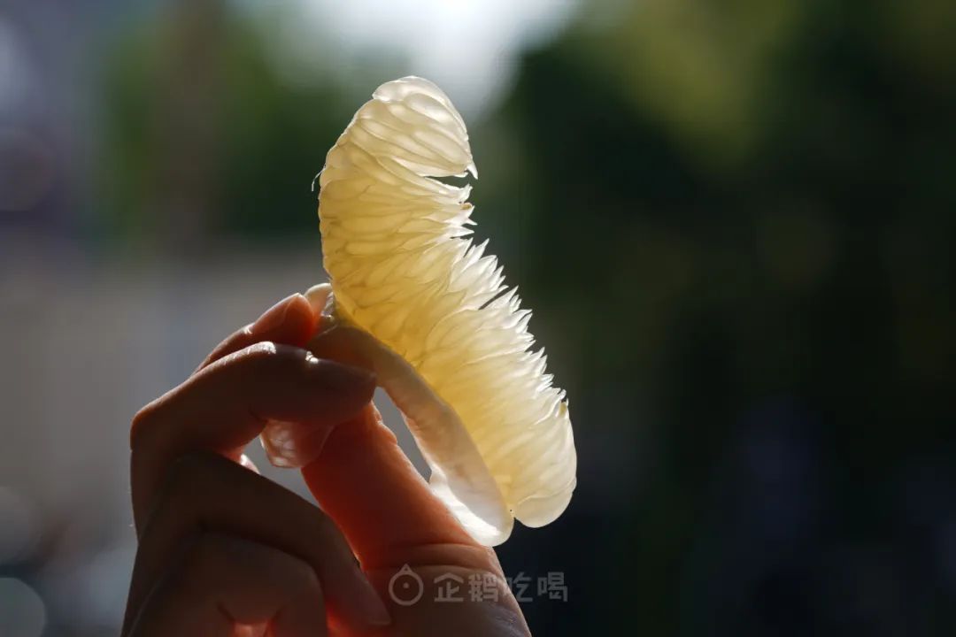 广东秋冬好吃的水果,秋冬有哪些好吃又不上火的水果