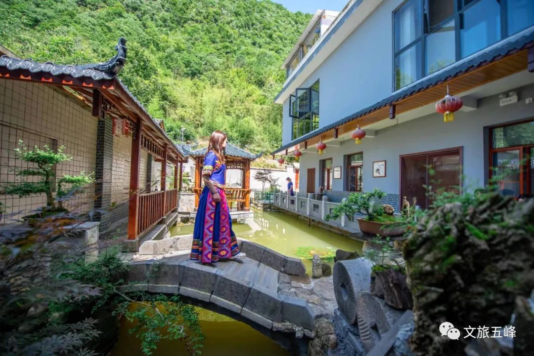 茶旅大会在五峰,五峰茶旅大会来了哪些人